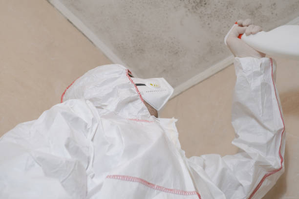 Best Industrial Mold Remediation  in Tempe, AZ